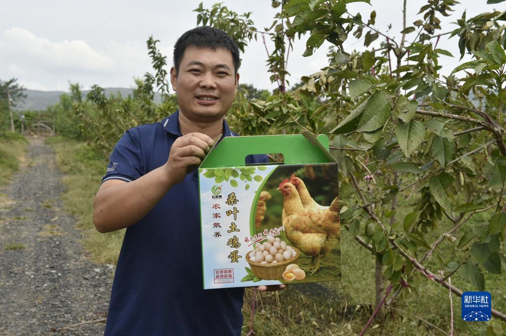 打鱼赢钱微信提现